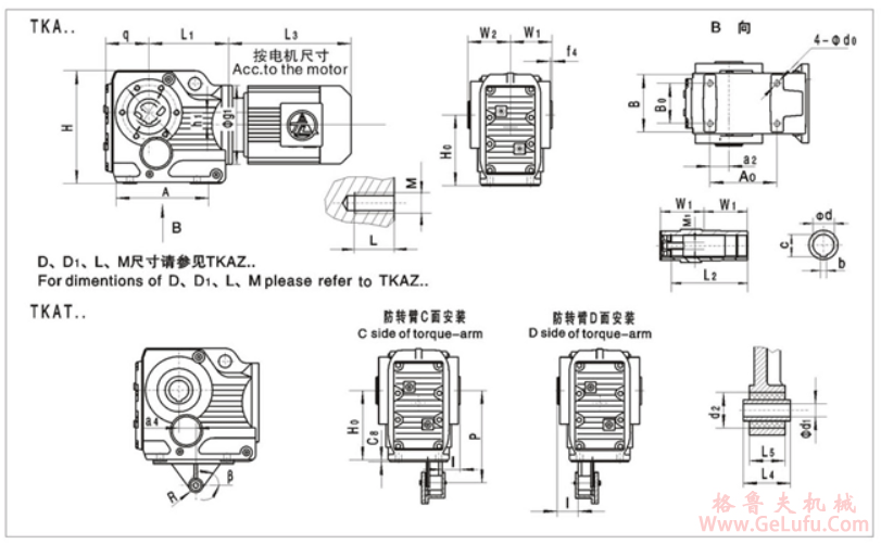 tk8.png